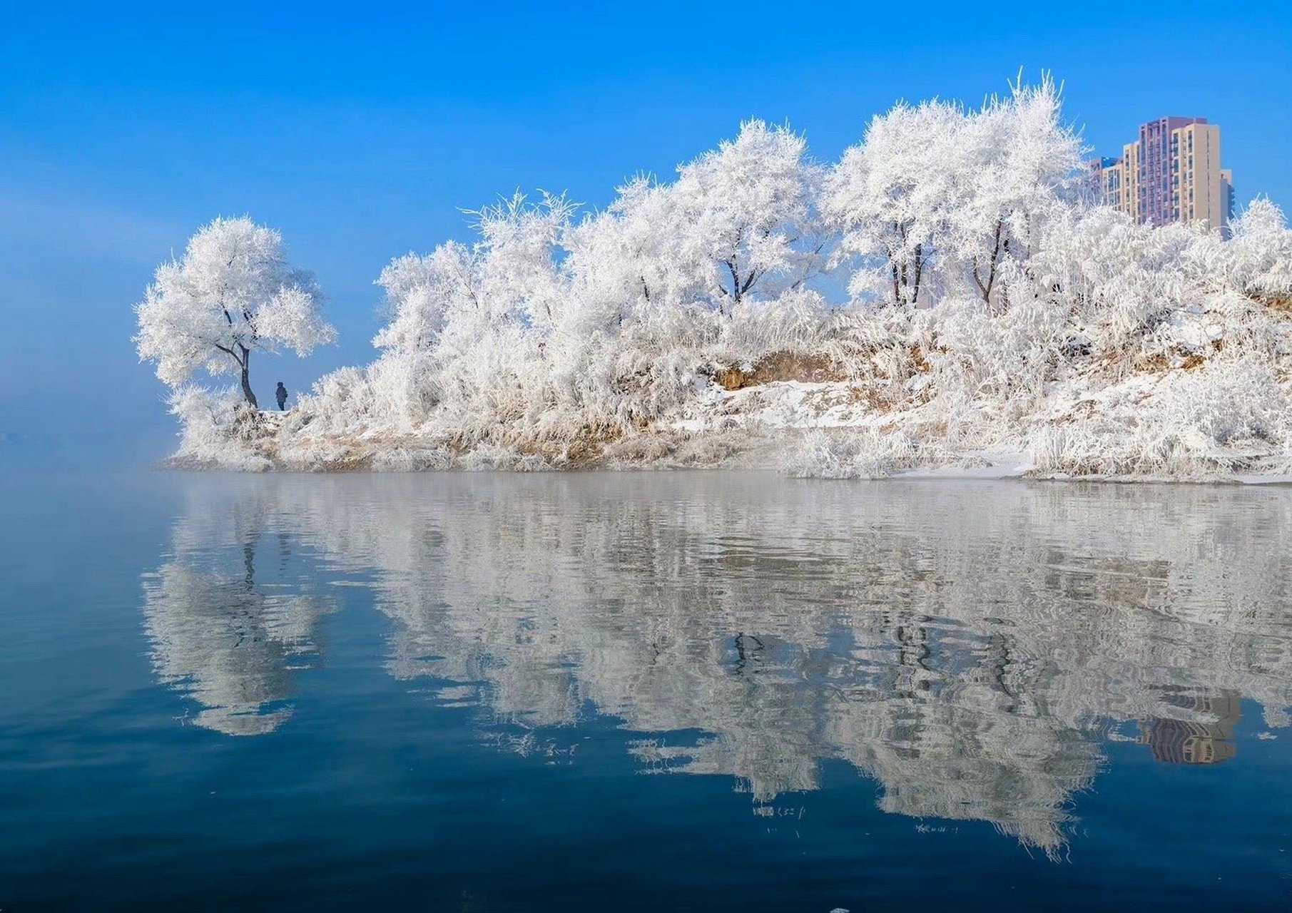 吉林小巷深处的秘密花园，探秘吉林特色小店